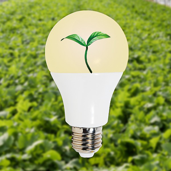 식물 전구 식물 성장 램프(LED 12W),아이딕조명,식물 전구 식물 성장 램프(LED 12W)