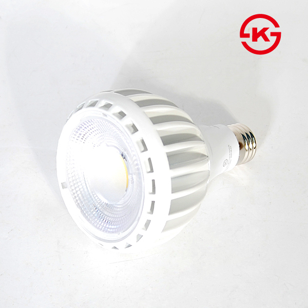 파나소닉 LED PAR30 (30W/집중형),아이딕조명,파나소닉 LED PAR30 (30W/집중형)